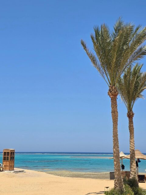 Avevo aspettative alte sul nostro viaggio in Egitto ma sono state ampiamente superate!

Dieci giorni al Bravo Gemma Beach Resort di Marsa Alam mi hanno regalato relax, felicità, bagni tra pesci bellissimi, pranzi in spiaggia e cene buonissime...il tutto grazie anche a uno staff incredibilmente gentile e sempre a disposizione. 

Avevo già consigliato questa struttura ai miei clienti ma ora non ho dubbi: una settimana al Gemma ristabilisce mente, corpo e spirito!

La struttura è delle dimensioni giuste, divisa in sei blocchi di camere con una piscina interna dedicata ad ogni blocco più una piscina per adulti, una per bambini piccoli e quella principale vicino alla spiaggia. 
Tre bar, un ristorante a buffet e due tematici. Spiaggia riservata con lettini comodissimi, enormi e ben distanziati. Negozietti all'interno, clinica medica, anfiteatro per gli spettacoli.
Il tutto pervaso da un'atmosfera rilassante...non sembrava nemmeno di essere ad agosto!

Grazie @gemmaresort per la vacanza indimenticabile! Sicuramente consigliata a tutti, coppie single famiglie...e spero che ci rivedremo presto!

#egitto #marrosso #Alpitour #marsaalam #egypt