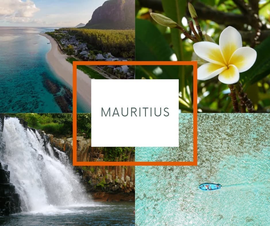 Mark Twain, dopo aver visitato l'isola, disse "Il paradiso fu creato ad immagine e somiglianza di Mauritius". 
E aveva proprio ragione! 
Spiagge incontaminate, fauna e flora rigogliosi, shopping e mare cristallino.
E poi ancora storia, cultura, gastronomia eccellente e strutture ricettive di altissima qualità permettono di vivere tante vacanze, in un'unica destinazione.

Un Paese che possiamo visitare da ottobre con l'apertura dei corridoi turistici e che sta registrando tutto esaurito per questo Natale.
È un'isola da scoprire, da esplorare con escursioni organizzate o semplicemente con la propria auto e che vi sorprenderà!

Oggi vi parlo di alcuni luoghi imperdibili da visitare durante un viaggio a Mauritius.

🌇 Port Louis: la città principale dell'isola di Mauritius, vivace e coloratissima

⛰️ Le Morne Brabant: una penisola situata nella parte sud-occidentale dell'isola. Domina la penisola un gigantesco monte ricolmo di vegetazione naturale.

💦 Les 7 cascades: un luogo magico dove sarà possibile osservare ben 7 cascate diverse.

🎋Ebony Forest: la riserva naturale nonché cuore dell'isola di Mauritius.

🎨 #Chamarel, la terra dei 7 colori: in questo luogo sarà possibile assistere ad una struttura geologica composta da ben 7 colori diversi. Le diverse sfumature fanno apparire tale terra come un sogno ad occhi aperti.

🏝️ Isola dei Cervi: una spiaggia dove la sabbia è bianca e l'acqua risulta essere praticamente trasparente.

🏖️ Flic en Flac: altro luogo di mare paradisiaco. Visitando Flic en Flac sembrerà d'essere nella location di un film. La sabbia in questa località è soffice e pulita mentre le acque che bagnano la costa sono azzurre e calde.

🐬 Tamarin Bay: nella località di Tamarin Bay è possibile fare il bagno in compagnia dei delfini.

🐠 Belle Mare: Oltre che per la splendida spiaggia, la zona di Belle Mare è conosciuta per l'attività della passeggiata sottomarina.

Sull'isola si produce vaniglia e rhum 🥃

Siete mai stati qui? Avete visitato uno di questi luoghi magici? 
Non vedo l'ora di ascoltare le vostre esperienze! 

@mauritius.tourism

#in2nelmondo #consulentediviaggio
#ioviaggiocartorange #mauritius #travel #mauritiusnow
