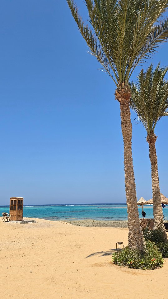 Quando torni in camera, ogni giorno è una sorpresa!

#egypt #marsaalam #egitto #redsea