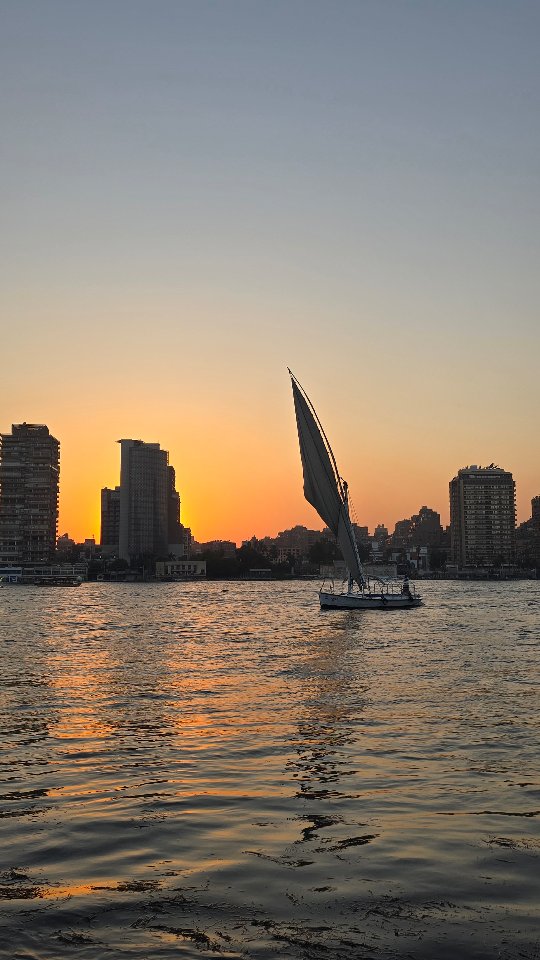 Una crociera in feluca sul Nilo, la tradizionale imbarcazione a vela in legno senza motore utilizzata da millenni per navigare sul fiume ⛵️

Hai mai provato questa esperienza? 😍

Se vuoi anche tu vivere momenti unici nei tuoi viaggi, contattami e li costruiremo insieme! ✈️

#cairo #nilo #crociera #egitto